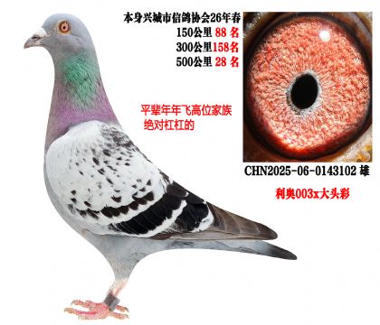 26�괺��500����28��������003x��ͷ�ʣ�