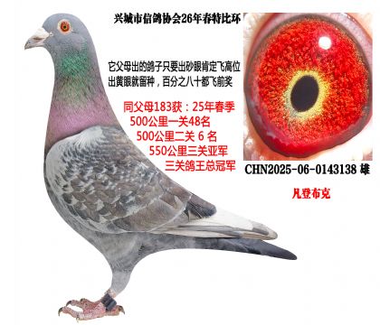 26�괺���رȻ���ͬ��ĸ��25�괺�����ظ����ܹھ���