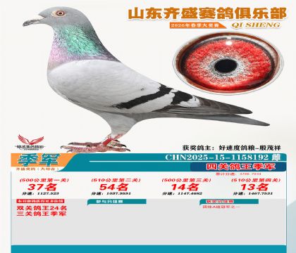 齐盛大综合鸽王季军