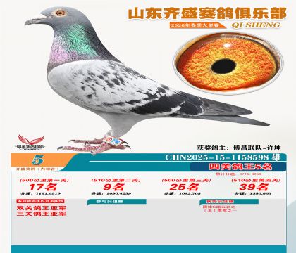 齐盛大综合鸽王5名