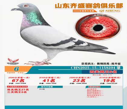 齐盛大综合鸽王6名
