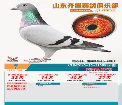 齐盛大综合鸽王7名