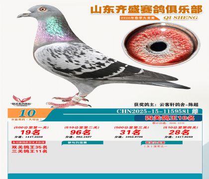 齐盛大综合鸽王10名