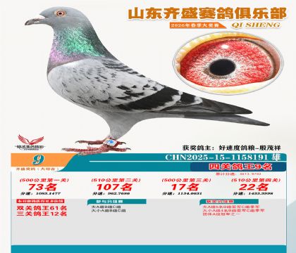 齐盛大综合鸽王9名