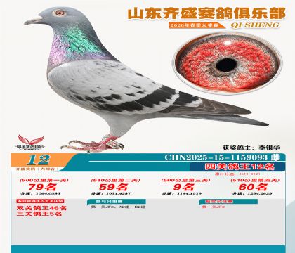 齐盛大综合鸽王12名
