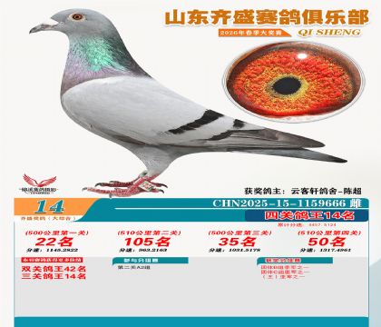 齐盛大综合鸽王14名
