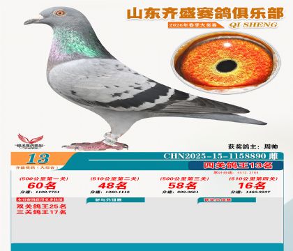 齐盛大综合鸽王13名