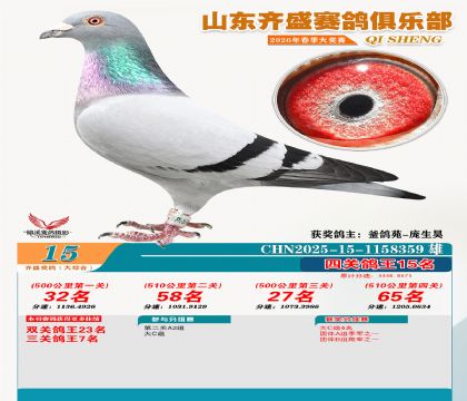 齐盛大综合鸽王15名
