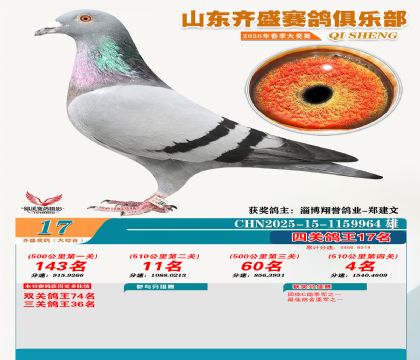 齐盛大综合鸽王17名