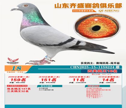 齐盛大综合鸽王18名