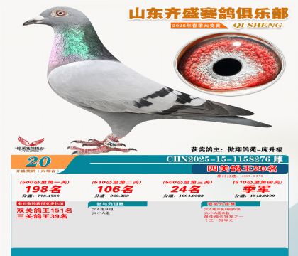 齐盛大综合鸽王20名