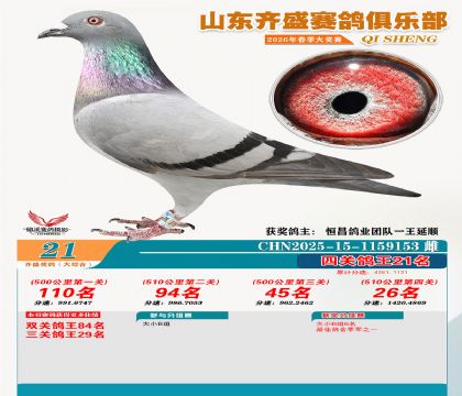 齐盛大综合鸽王21名