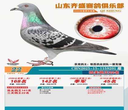 齐盛大综合鸽王22名