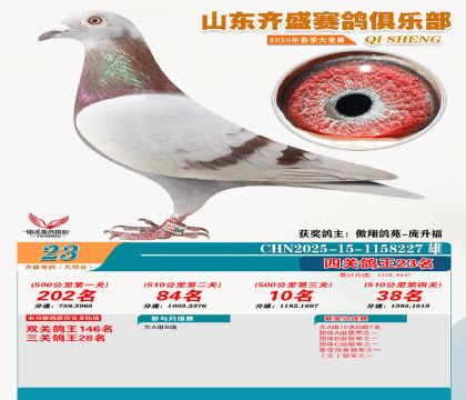 齐盛大综合鸽王23名