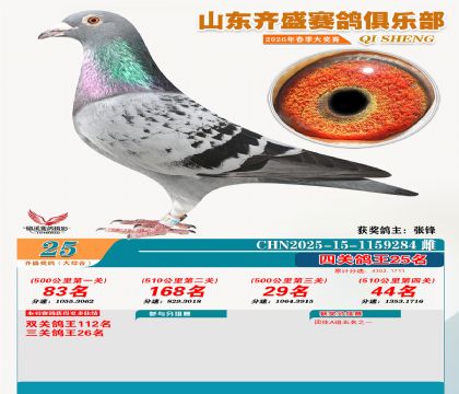 齐盛大综合鸽王25名