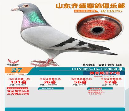 齐盛大综合鸽王27名
