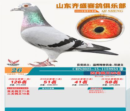 齐盛大综合鸽王26名