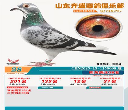 齐盛大综合鸽王28名