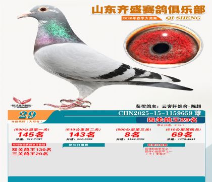 齐盛大综合鸽王29名