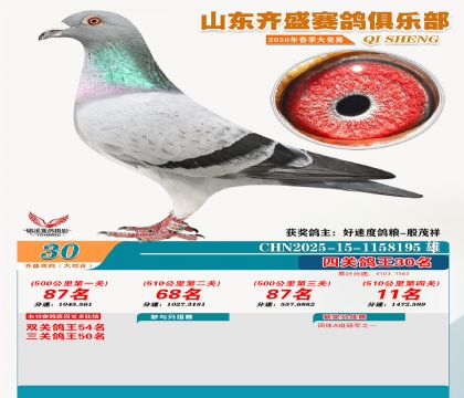 齐盛大综合鸽王30名
