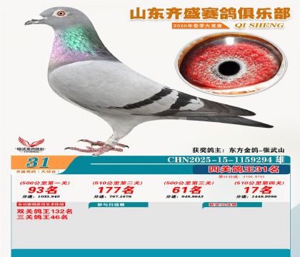 齐盛大综合鸽王31名