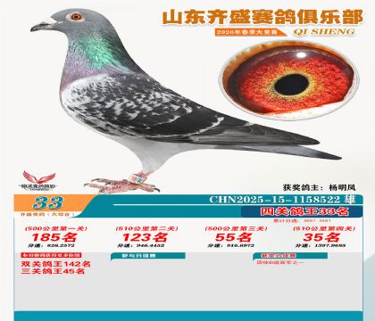 齐盛大综合鸽王33名