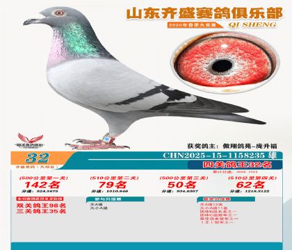 齐盛大综合鸽王32名