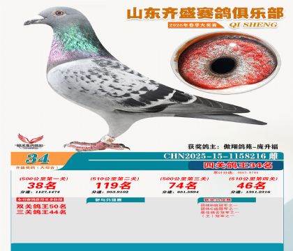 齐盛大综合鸽王34名