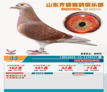 齐盛大综合鸽王35名