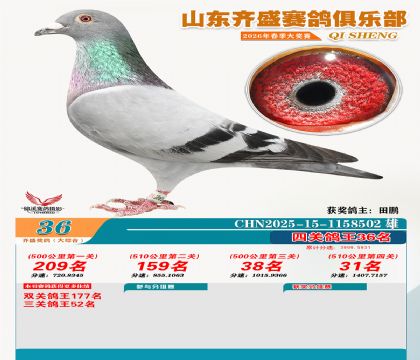 齐盛大综合鸽王36名