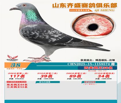 齐盛大综合鸽王38名
