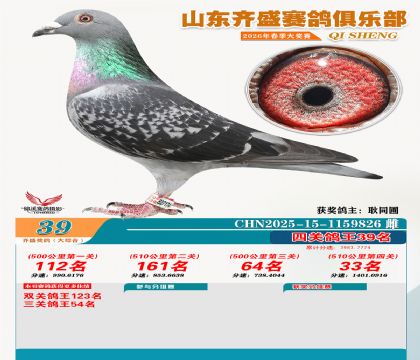 齐盛大综合鸽王39名