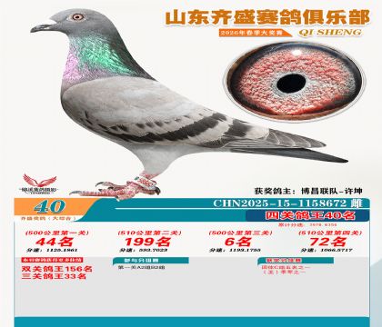 齐盛大综合鸽王40名