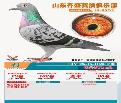 齐盛大综合鸽王41名
