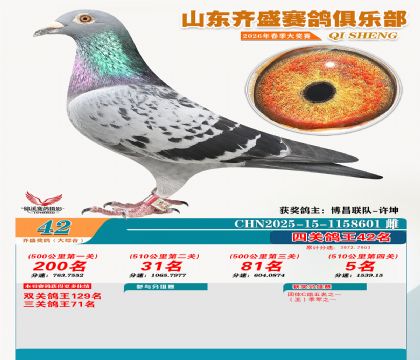 齐盛大综合鸽王42名