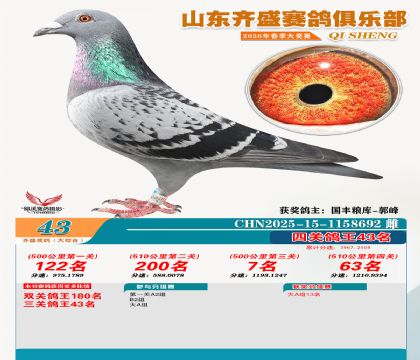 齐盛大综合鸽王43名