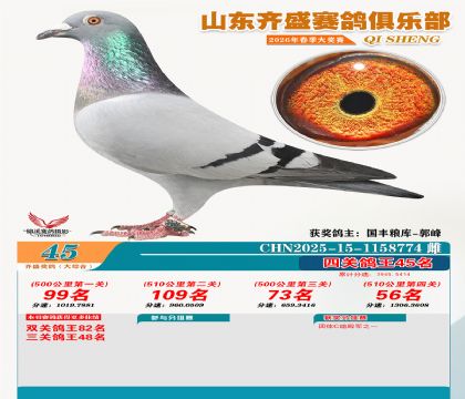 齐盛大综合鸽王45名