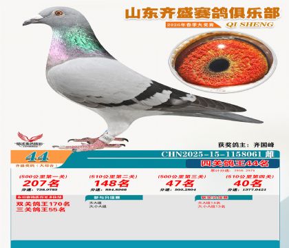 齐盛大综合鸽王44名