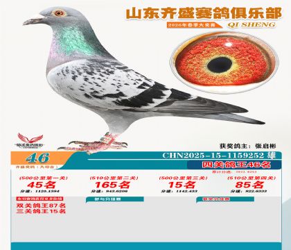 齐盛大综合鸽王46名
