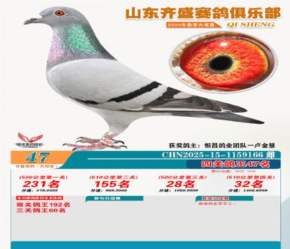 齐盛大综合鸽王47名