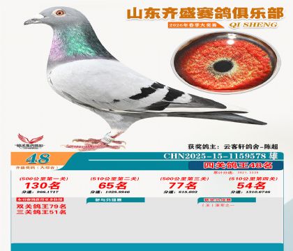 齐盛大综合鸽王48名