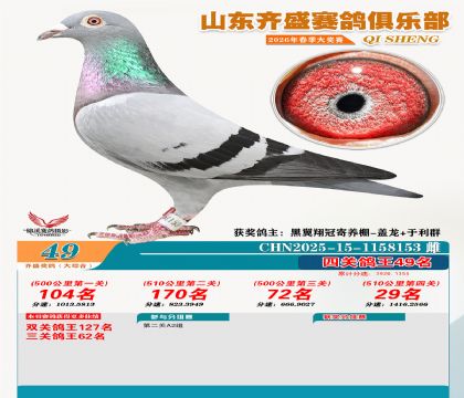 齐盛大综合鸽王49名