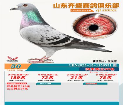 齐盛大综合鸽王50名