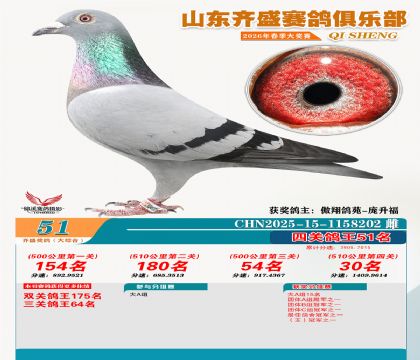 齐盛大综合鸽王51名