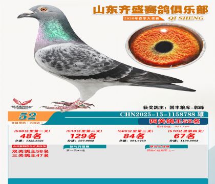 齐盛大综合鸽王52名