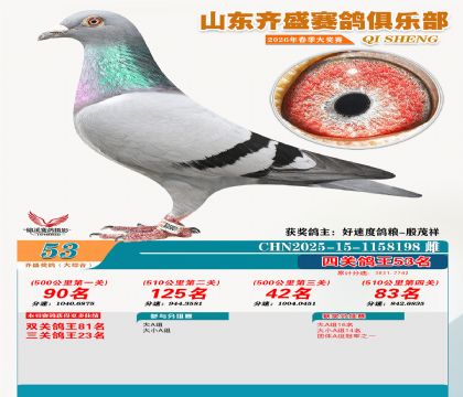 齐盛大综合鸽王53名