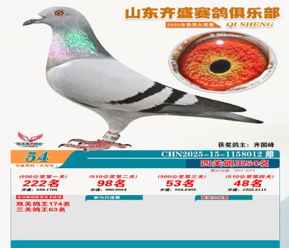 齐盛大综合鸽王54名