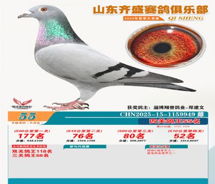 齐盛大综合鸽王55名