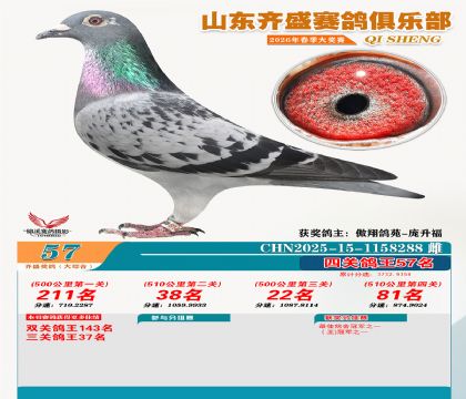 齐盛大综合鸽王57名