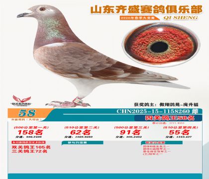 齐盛大综合鸽王58名